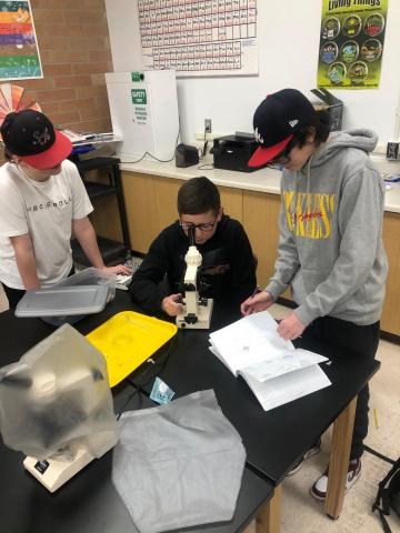 students using microscopes